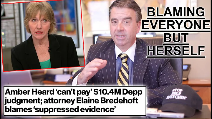 Criminal Lawyer Reacts to Amber Heard's Attorney's...
