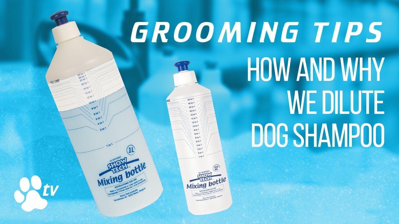 Grooming Tips: how and why we dilute dog shampoo