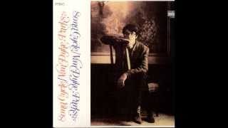 Watch Van Dyke Parks By The People video