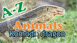 Alphabet Animals / ABC Animals for Kids / Learn animals, phonics, and the alphabet