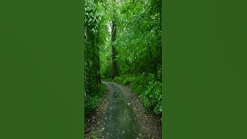 تلاوات مختارة / يونس اسويلص ( إِلَٰهُكُمْ إله وَاحِدٌ فَالَّذِينَ لا يُؤْمِنُونَ )