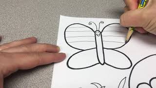 Pattern Insect Activity