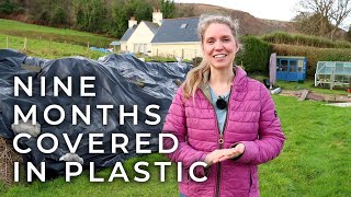 How to Use Black Plastic to Kill Weeds Organically
