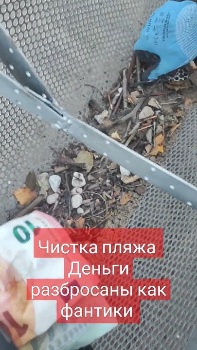Чистка пляжа деньги в песке - YouTube