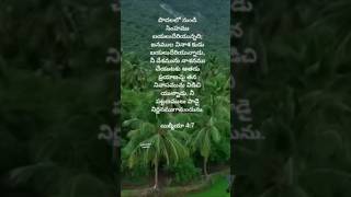 యిర్మీయా అన్న మాట||#shorts#ytshorts#youtube updates#music for Jesus Christ @jansundar creation#viral