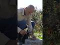 Heartwarming Village Life: Grandpa Cracks Walnuts for Grandma 🌰❤️