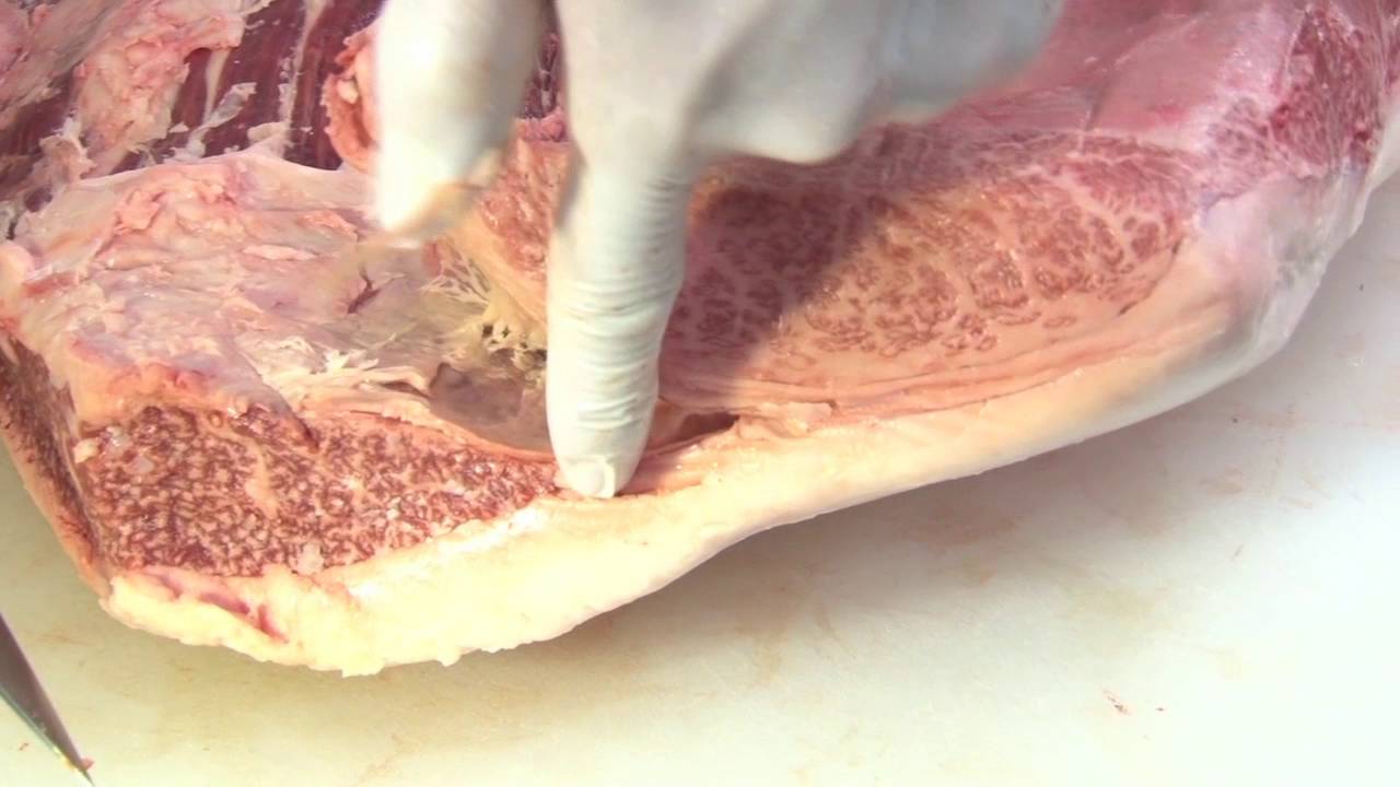 ［熟成肉解体ショー］　ウデ編｜門崎熟成肉 格之進
