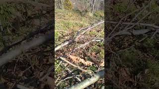 Görüyor Musunuz Yaylaları