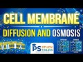 Class 9 Biology part 4 | Cell Membrane |  Cell: the building blocks of life | NCERT | Easy way 
