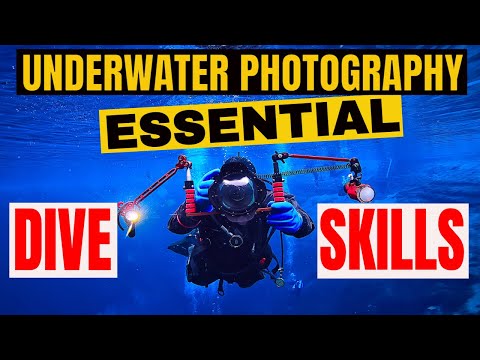 Top 10 Tips For Underwater Photography U0026 Videography Dive Skills!
