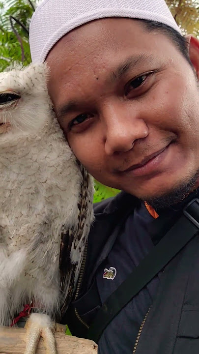 BURUNG DAN HANTU #lagu #minang #cover #coverlagu #trendingmusic #lukadisini #adista #trendingyoutube