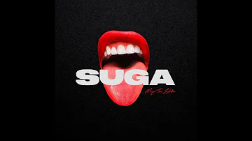 Megan Thee Stallion - Savage (Clean) [Official] {Suga}