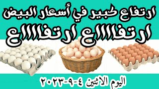 اسعار البيض اليوم سعر البيض اليوم الاثنين 4-9-2023جملة وقطاعي في المحلات في مصر