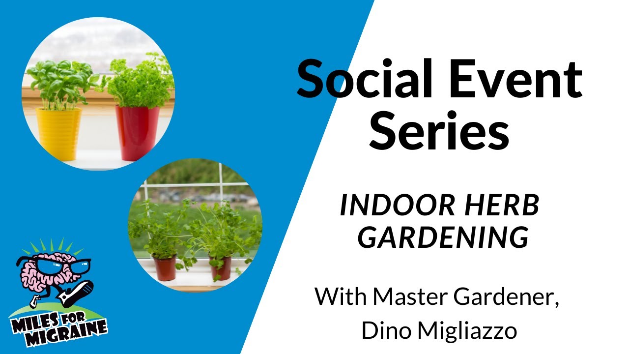 Indoor Herb Gardening Guide - YouTube