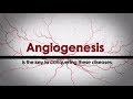 The Angiogenesis Foundation at 20 Years