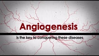 The Angiogenesis Foundation at 20 Years screenshot 2