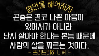 프리드리히 니체 명언 곤충은 결코 나쁜 마음이 있어서가 아니라 단지 살아야 한다는 본능 때문에 사람의 살을 찌르는 것이다  그것은 평론가도 마찬가지다
