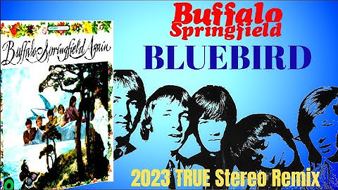 Bluebird Remix version - Remix performance video thumbnail