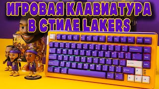 DAREU A81 PRO Tri Mode LAKERS ИГРОВАЯ КЛАВИАТУРА | ПОЛНЫЙ ОБЗОР И РАЗБОРКА