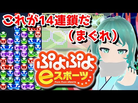 稀に大連鎖が出ます。稀にね【ぷよぷよeスポーツ/ゲーム実況/Vtuber/依代九朔】