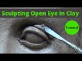 Sculpting open eye in a water based clay visual tutorial