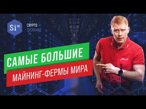 Самые большие фермы