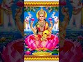 Om Mahalaxmi Namo Namah🙏🙏🚩#bhakti#laxmimata#laxmanpurbazar#hindugod#laxmimandir#laxmanpurbazar