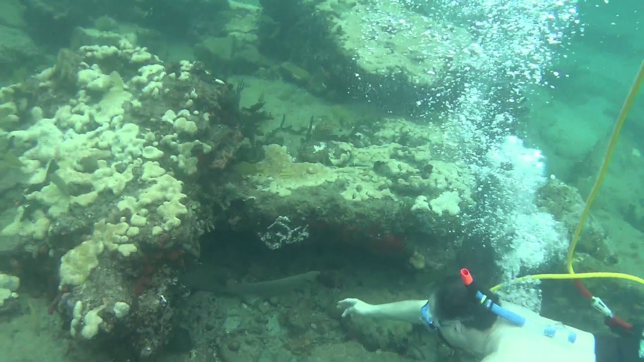 Snorkel Trip Pompano Beach May 31 2015 YouTube
