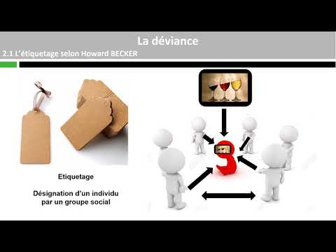 Vidéo: Quelles sont les normes de processus TEKS ?