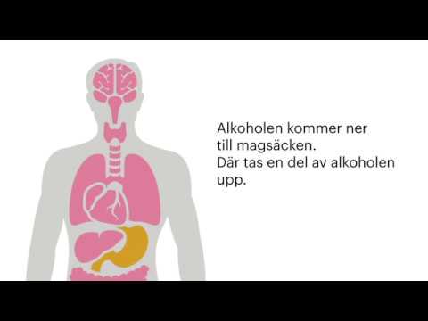 Video: Hur öl Påverkar Den Manliga Kroppen