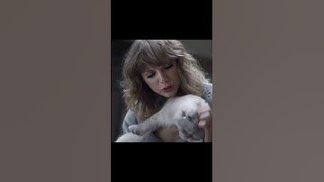 Taylor Swift wants her cat to write songs😂 #taylorswift #shorts
