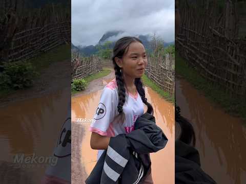 ผลสลากกินแบ่งรัฐบาล วันที่ 1 พย. 2567