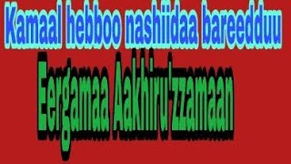 Kamaal hebboo nashiidaa bareedduu sheer like SUBISCIREB gochuu hin dagatinaa chaanaala keenya