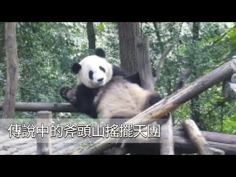《熊貓早晚安》傳說中的斧頭山搖擺天團 | iPanda