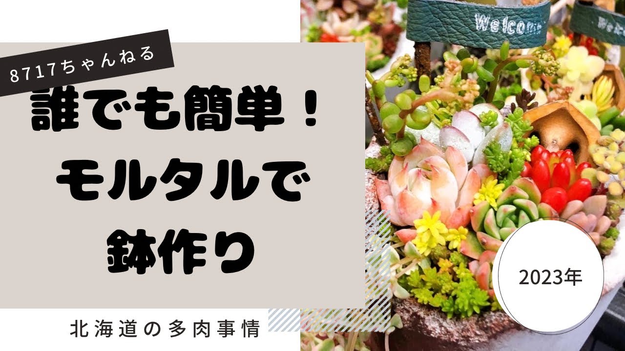【多肉植物】【モルタル造形】【鉢作り】＊華陽＊流の作り方大公開！
