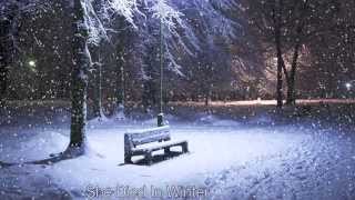 She Died in Winter (Original Song)