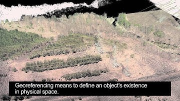 Section 2:  Applanix tech max productivity