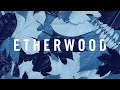 Etherwood ft. Eva Lazarus - Light My Way Home 🎶