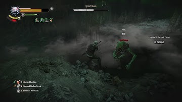 The Witcher 3: Wild Hunt Death March difficulty setting