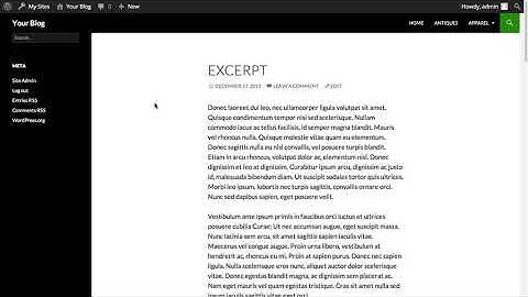 Excerpts for WordPress Posts