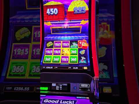 Casino Sports Book