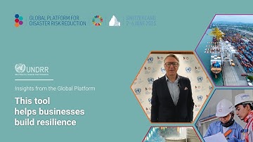 This tool helps businesses build resilience | UNDRR