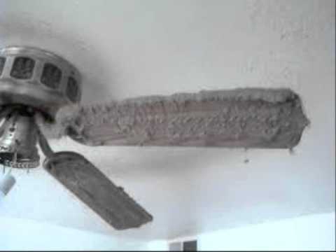Ceiling Fan Rescue