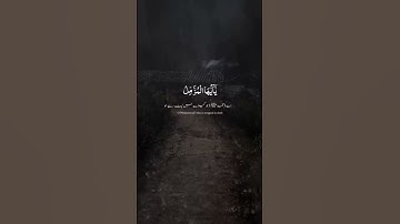 سورة المزمل کاملة - عبدالرحمن مسعد