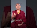 Love for all beings with Mingyur Rinpoche