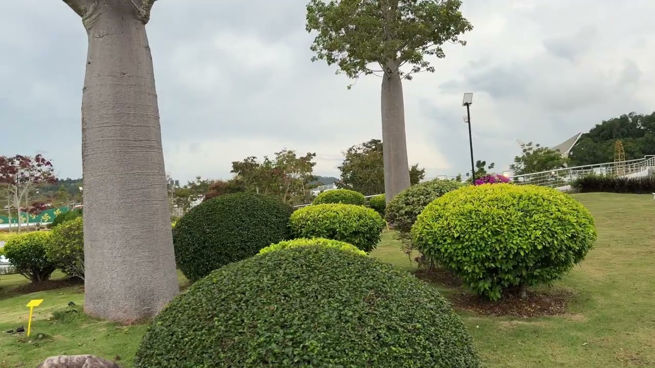 Brunei | Omar Ali Saifuddien Mosque  | One of the Most Beautiful Mosques in Brunei