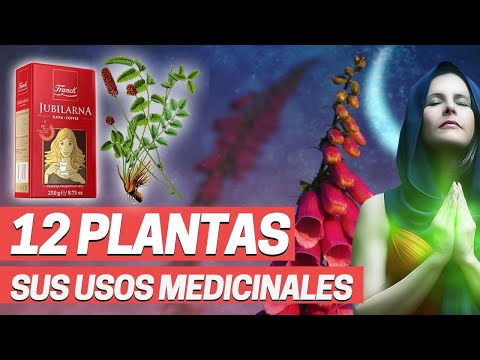Video: ¿Es la Artemisia tridentata comestible?