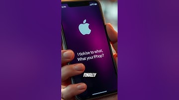 Apples game changer Perplexity acquisition #2025 #apple #aiforbusiness