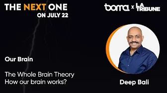 The Whole Brain Theory : how our brain works? Deep Bali