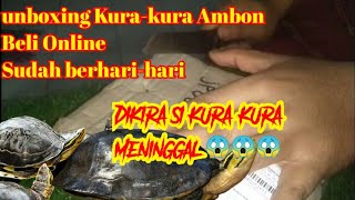Unboxing Kura-kura Ambon atau Kura-kura Batok | Beli di toko online Shopee 👍